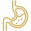 stomach